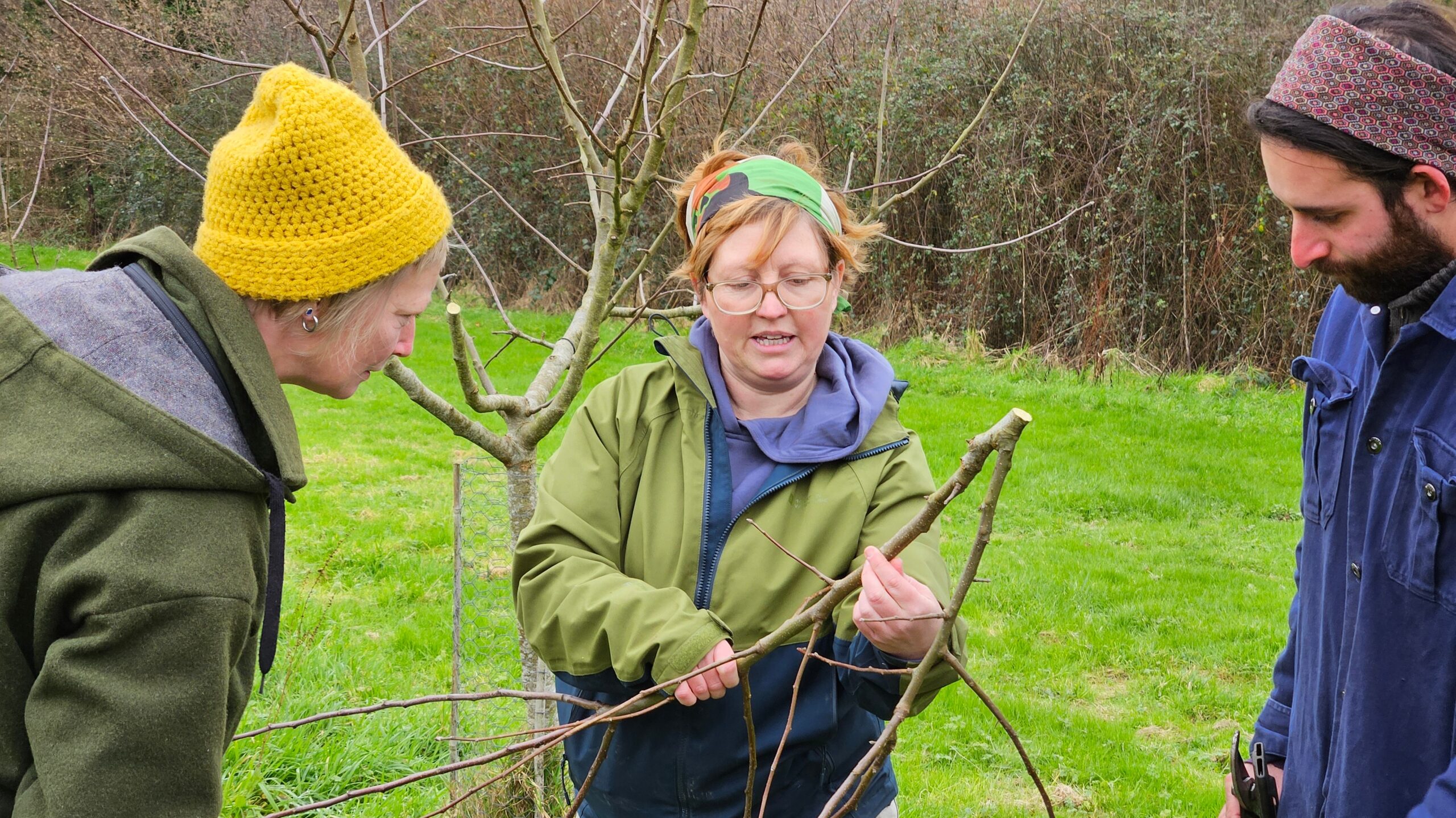 practical Orchard management workshops prove very popular