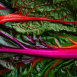 WellFed Recipes: Chickpea and chard stew