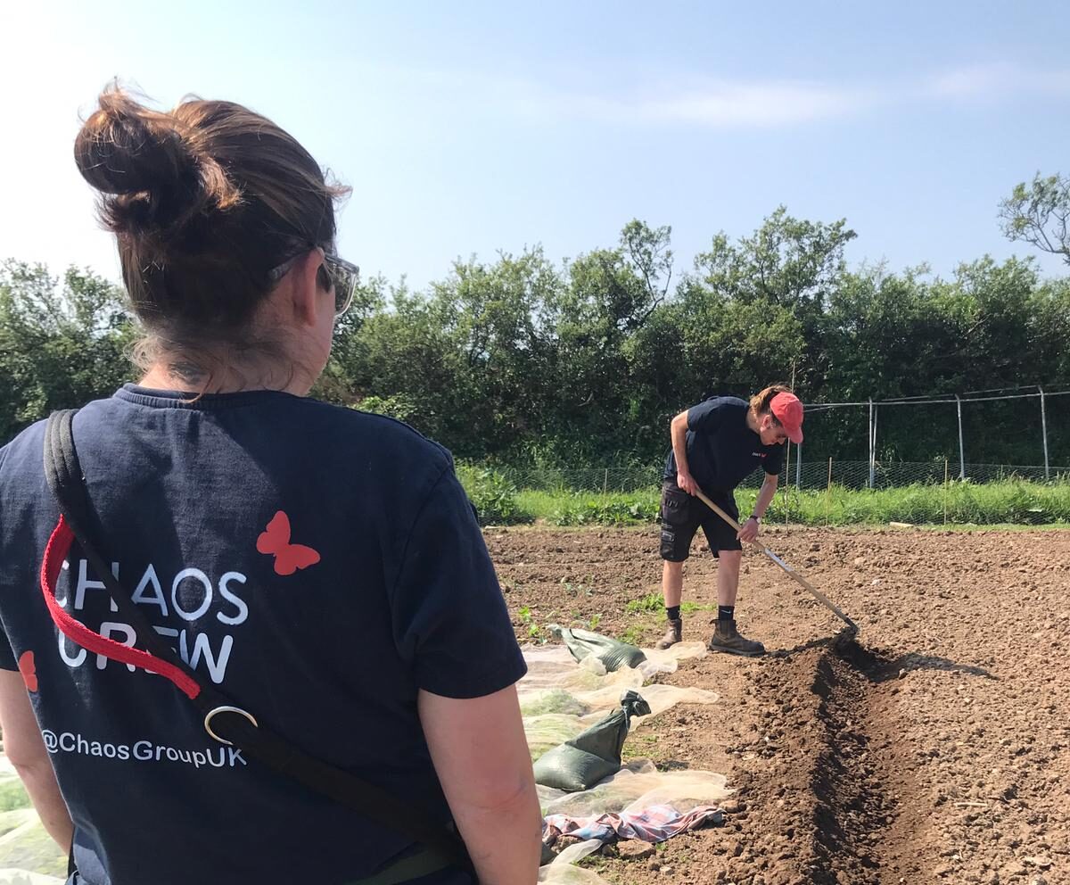 Sustainable Food Cornwall awarded new funding to expand its Joining the Dots for Nature project 